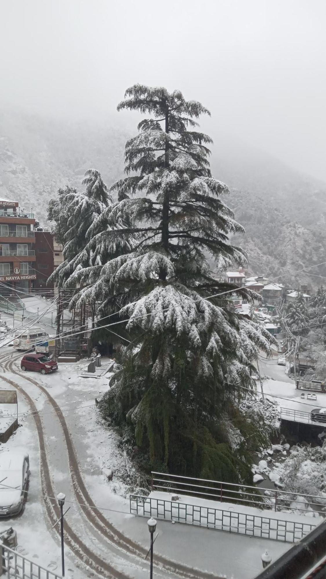 Apartmán Moonlight Ridge McLeod Ganj Exteriér fotografie