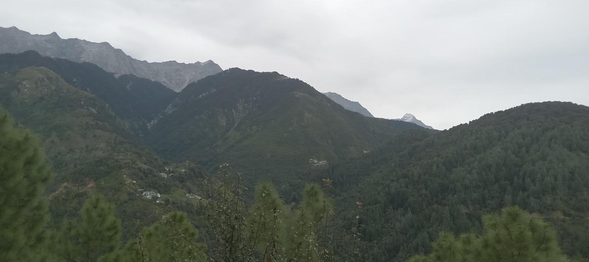Apartmán Moonlight Ridge McLeod Ganj Exteriér fotografie